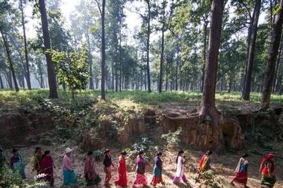 Tín chỉ carbon từ 'bể chứa' Nepal