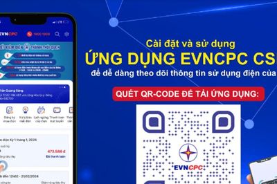 Khách hàng có thể theo dõi sản lượng điện hằng ngày bằng EVN CSKH