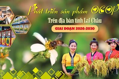 Phát triển sản phẩm OCOP trên địa bàn tỉnh Lai Châu giai đoạn 2026-2030