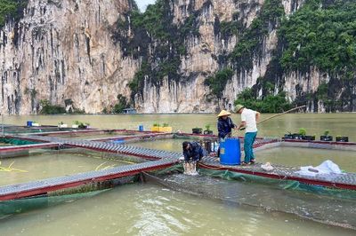 Khai thác hiệu quả tiềm năng mặt nước