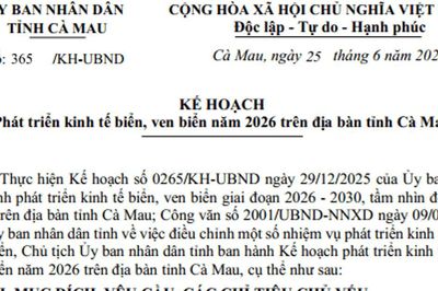 Quy hoạch kinh tế biển Cà Mau năm 2026: Đẩy mạnh hạ tầng cảng biển và năng lượng xanh