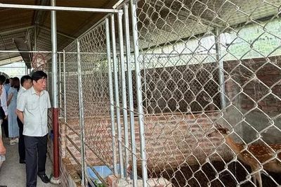 Yên Sơn khai mở tiềm năng nông nghiệp hàng hóa
