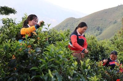 Chú trọng phát triển đảng viên nữ