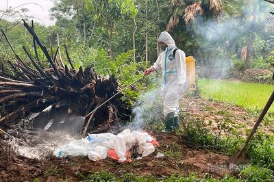 Xuất hiện dịch cúm gia cầm A/H5N1 tại xã Đồng Tâm
