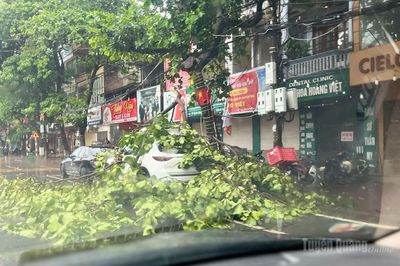 Chủ động ứng phó với mưa lớn, lũ quét, sạt lở đất, lốc, sét, ngập lụt