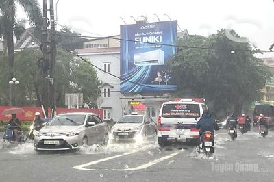Tuyên Quang: Cảnh báo mưa rào, cục bộ có mưa to đến rất to và dông trên diện rộng