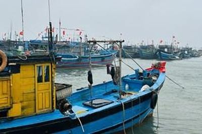 Chủ động ứng phó vùng áp thấp khả năng thành áp thấp nhiệt đới