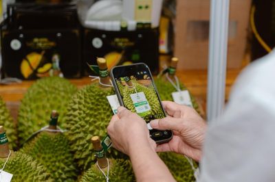 Truy xuất nguồn gốc quốc gia: 'Áo giáp số' giúp nông sản Việt vượt rào cản xuất khẩu