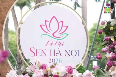 Hành trình nghệ thuật tôn vinh vẻ đẹp hoa sen