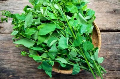 Tháng 7, chợ đầy ắp 5 loại rau vừa rẻ vừa ngon, bà nội trợ không nên bỏ lỡ