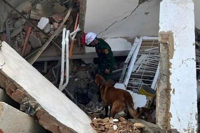 Đội cứu hộ Việt Nam tìm thấy thi thể 8 nạn nhân ở Venezuela sau một ngày làm nhiệm vụ