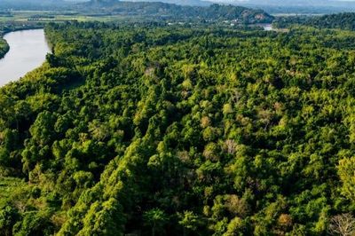 Lợi ích của thị trường carbon đối với Việt Nam