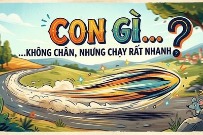 Con gì không chân nhưng chạy rất nhanh?