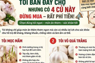 Tỏi bán đầy chợ nhưng có 4 loại 'tưởng ngon mà hóa ra phí tiền': biết sớm để tránh mua nhầm