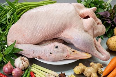 5 lý do để ăn thịt vịt ngay trong mùa hè này