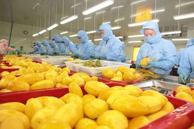 Xuất khẩu nông lâm thủy sản 6 tháng đem về gần 36 tỷ USD