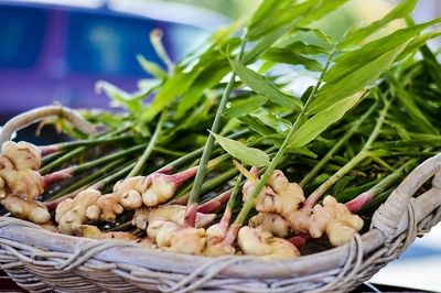 3 thực phẩm mùa hè vừa bổ thận, tốt cho sinh lý lại nhẹ bụng