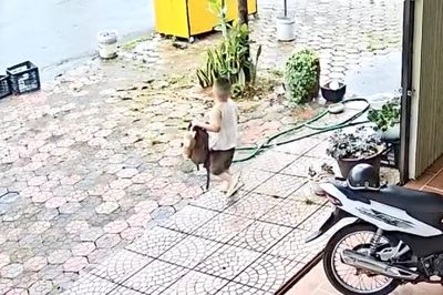 Bố mẹ đều tưởng người kia đưa con đi học, bé 5 tuổi chạy bộ 1 km đuổi theo mẹ