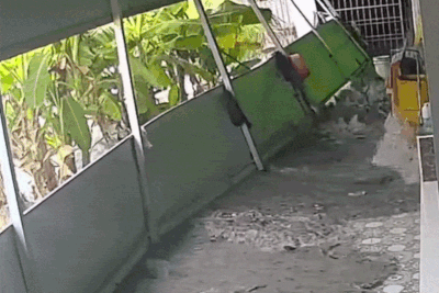 Đang ngủ trưa, chủ nhà miền Tây bật dậy hoảng hốt vì 'cơn lũ lạ'