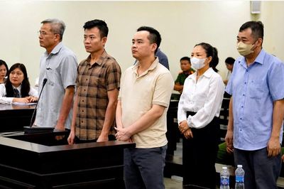 Cựu Chủ tịch Công ty Nam Triệu lĩnh 29 năm tù vì gây thiệt hại gần 24 tỉ đồng