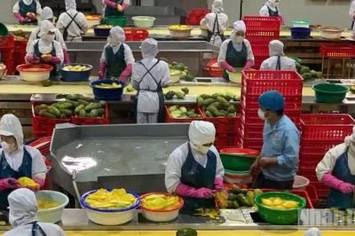 Nông nghiệp duy trì tăng trưởng ổn định trong 6 tháng đầu năm 2026