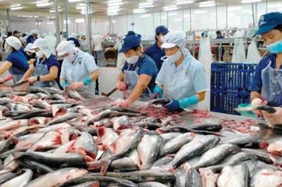 Xuất khẩu thủy sản 6 tháng khởi sắc, đạt gần 5,8 tỷ USD