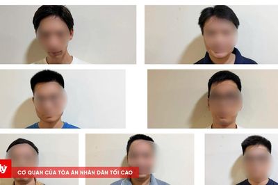 Khởi tố 7 đối tượng phát tán hơn 26.000 phim lậu, thu hàng triệu USD tiền quảng cáo