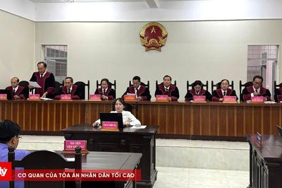TAND tỉnh Cà Mau mở 2 phiên tòa giám đốc thẩm