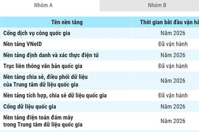 Danh mục 79 nền tảng số dùng chung quốc gia