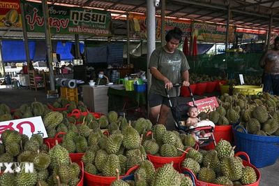 Xuất khẩu sầu riêng Thái Lan sang Trung Quốc lập kỷ lục trong nửa đầu năm 2026