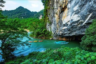 Bộ Nông nghiệp và Môi trường đề xuất phương án quản lý các vườn quốc gia liên tỉnh