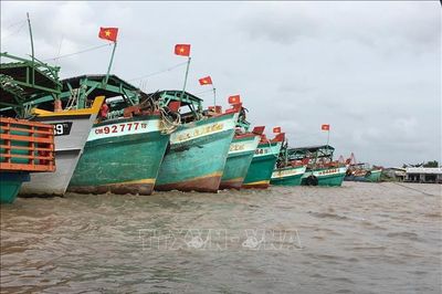 Siết chặt xử lý vi phạm thủy sản theo quy định mới