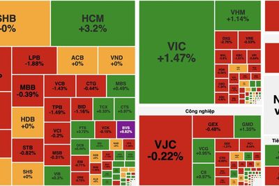 Rung lắc cuối phiên, VN-Index giảm nhẹ sau một ngày giằng co