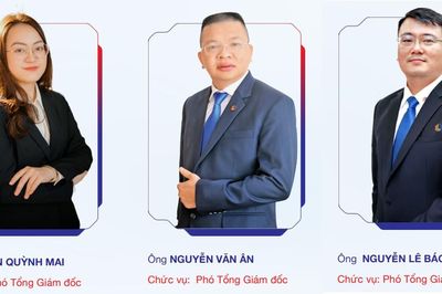 Đồng loạt miễn nhiệm, bổ nhiệm lãnh đạo chủ chốt doanh nghiệp 'nhà' Đèo Cả