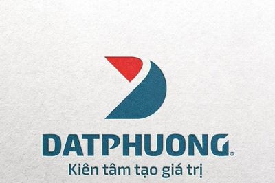 Một cá nhân mượn 8 tài khoản thao túng cổ phiếu Tập đoàn Đạt Phương