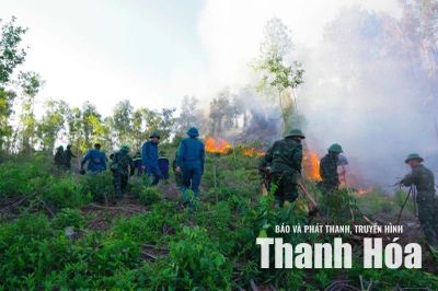 Quyết liệt triển khai các biện pháp cấp bách phòng cháy, chữa cháy rừng