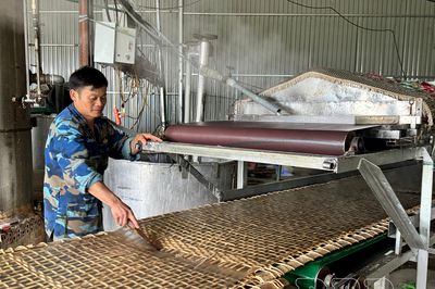 Hỗ trợ hợp tác xã do người dân làm chủ
