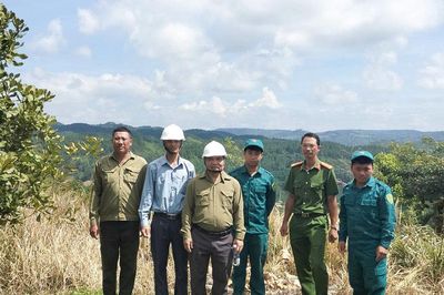 Nỗ lực giữ màu xanh rừng đầu nguồn