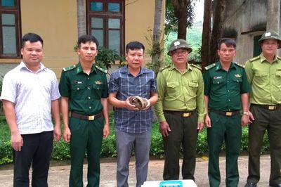 Tiếp nhận 2 cá thể Tê tê java để cứu hộ