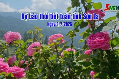 Dự báo thời tiết toàn tỉnh Sơn La ngày 3/7/2026