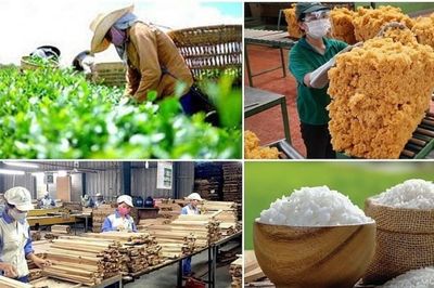 Việt Nam thu về gần 35,9 tỷ USD từ xuất khẩu nông, lâm, thủy sản trong nửa đầu năm 2026