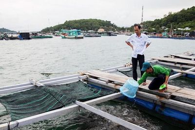 Chương trình tín dụng nông, lâm, thủy sản giải ngân đạt 219.000 tỷ đồng