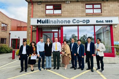 Từ phô mai đến sàn đấu giá gia súc, bài học từ hợp tác xã Ireland