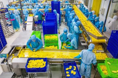 Antesco dừng mở rộng nhà máy Bình Long, rót 419 tỷ đồng xây nhà máy ở Tây Ninh