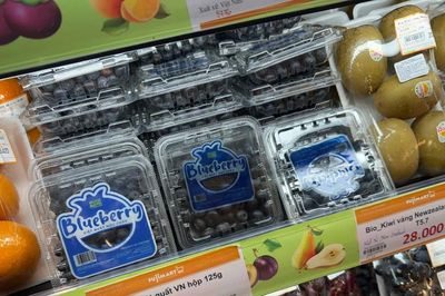 Công ty Greenland nhập lậu quả việt quất tươi trị giá hơn 10 tỷ đồng
