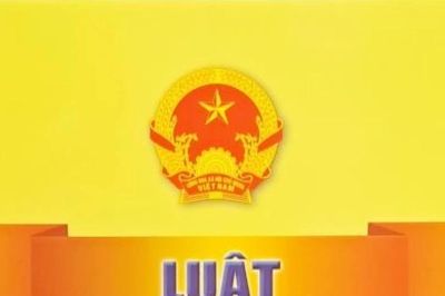 Không thể nhân danh 'phản biện', 'khai phóng' để xuyên tạc lịch sử, lãnh tụ