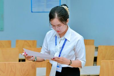 Nhiệm vụ hè được tính thu nhập tăng thêm, giáo viên Thành phố Hồ Chí Minh cần biết