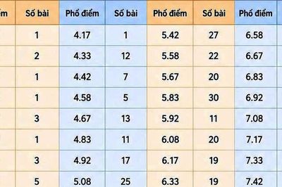 Giải mã những con điểm 'lạ' Ngữ văn kỳ thi tốt nghiệp trung học phổ thông