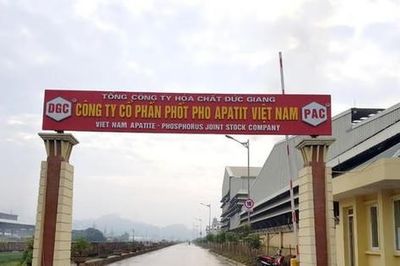 Cổ phiếu PAT của Apatit Việt Nam (PAT) được đưa ra khỏi danh sách hạn chế giao dịch