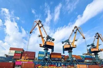 Vận tải Hải An (HAH) chốt chi 377 tỷ đồng trả cổ tức tiền mặt, Viconship hưởng lợi lớn